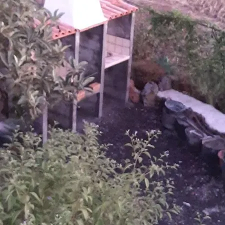 Casa Roko * Puntagorda (La Palma)